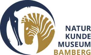 Logo NKMB